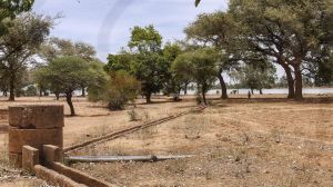 Système d'irrigation sur les rives du Lac Dèm à Kaya, dans la région sahélienne du Burkina Faso